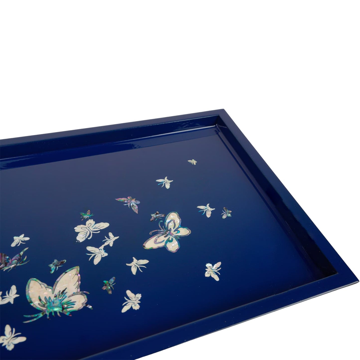 Rectangular Butterfly Tray